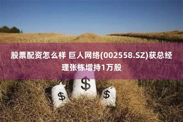 股票配资怎么样 巨人网络(002558.SZ)获总经理张栋增持1万股