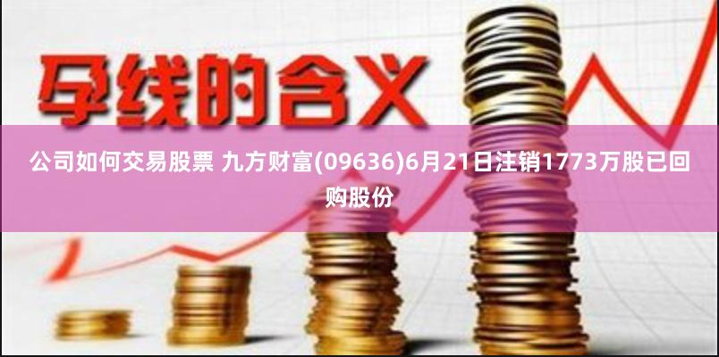 公司如何交易股票 九方财富(09636)6月21日注销1773万股已回购股份