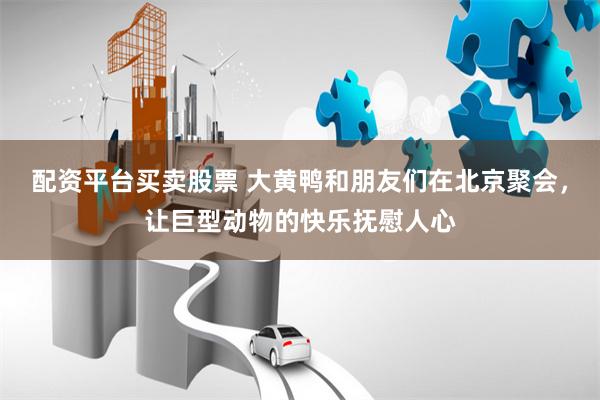 配资平台买卖股票 大黄鸭和朋友们在北京聚会,让巨型动物的快乐抚慰人心