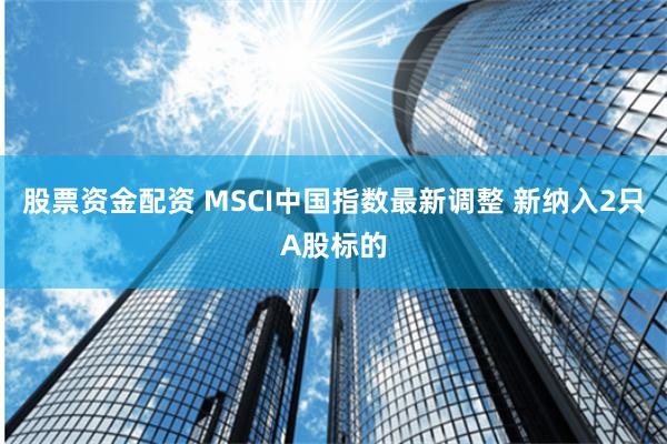股票资金配资 MSCI中国指数最新调整 新纳入2只A股标的