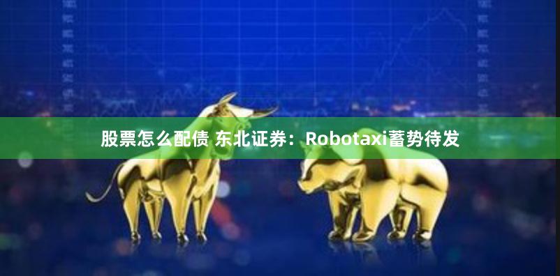 股票怎么配债 东北证券:Robotaxi蓄势待发
