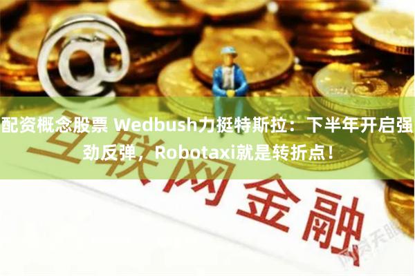 配资概念股票 Wedbush力挺特斯拉:下半年开启强劲反弹,Robotaxi就是转折点!