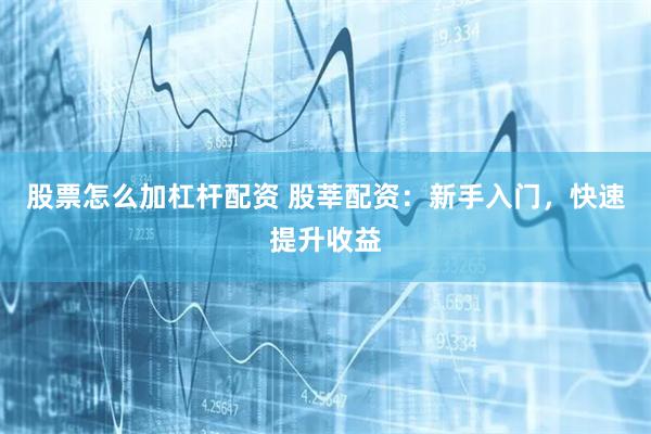股票怎么加杠杆配资 股莘配资:新手入门,快速提升收益