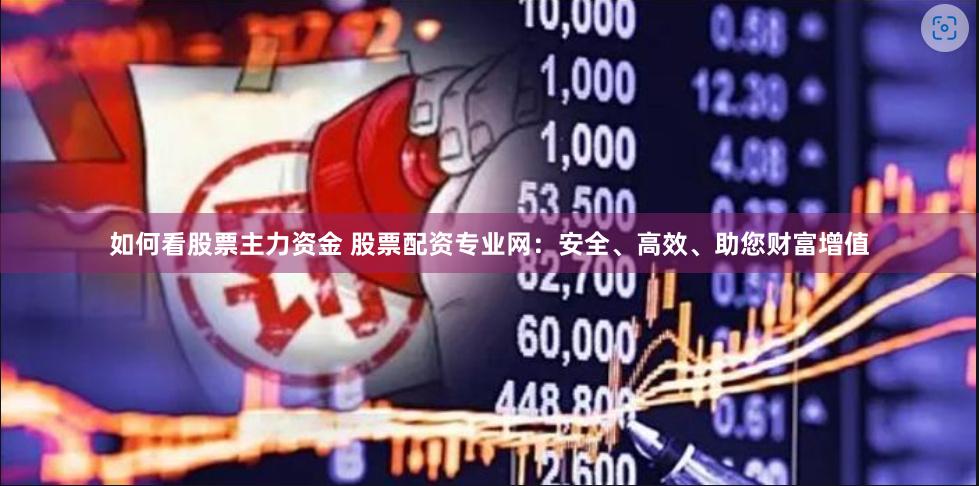 如何看股票主力资金 股票配资专业网:安全、高效、助您财富增值
